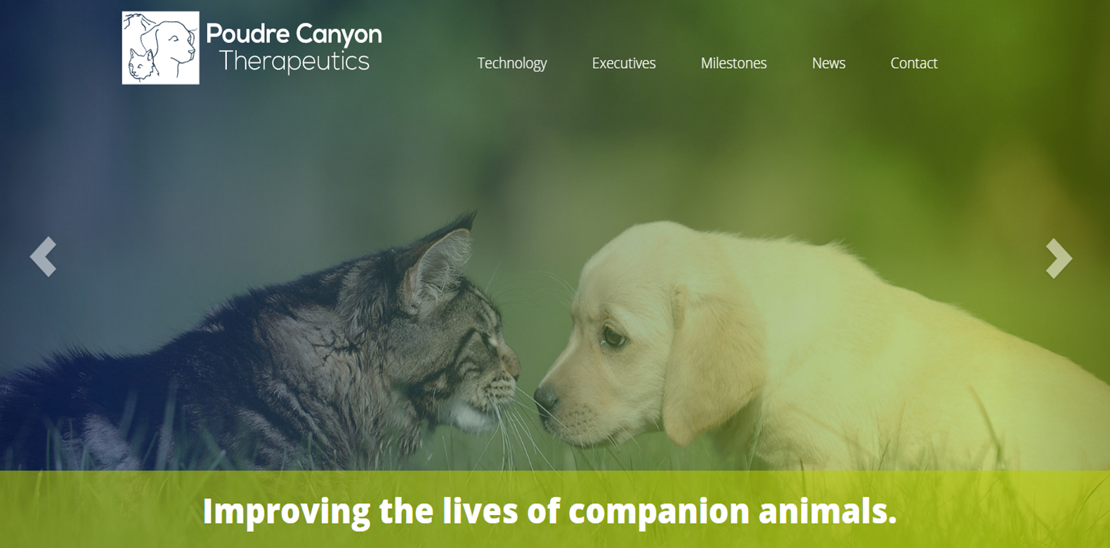
New Website Launched: Poudre Canyon Therapeutics